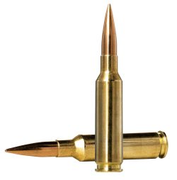 Norma Ammunition 10166312 Dedicated Precision Golden Target Match 6.5Creedmoor 130gr Boat Tail Hollow Point 20 Per Box/10 Case