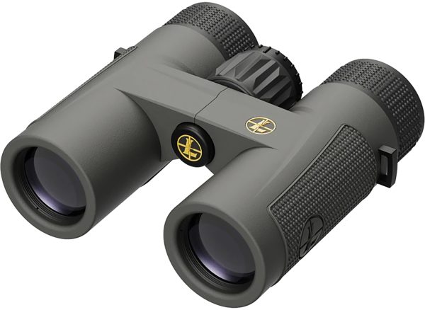 Leupold 172660 BX-4 Pro Guide  HD 10x32mm Roof Prism Shadow Gray Armor Coated