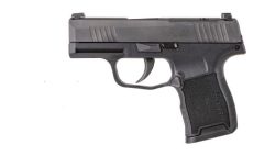 SIG SAUER P365 380ACP BLK 10+1 NS